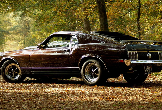 авто, осень, musclecar, Mustang