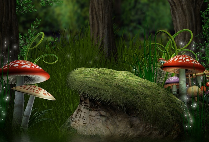 грибы, forest, Magic, mushroom, лес, папоротники, трава, мухоморы