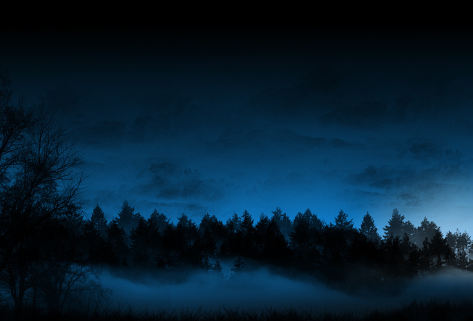деревья, Ночь, небо, лес