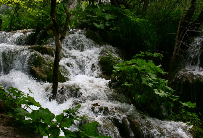 плитвитские, озера, Природа, пейзаж, водопадики