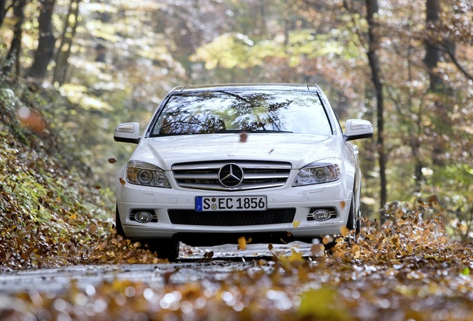 c350, Mercedes-benz, листва, дорога