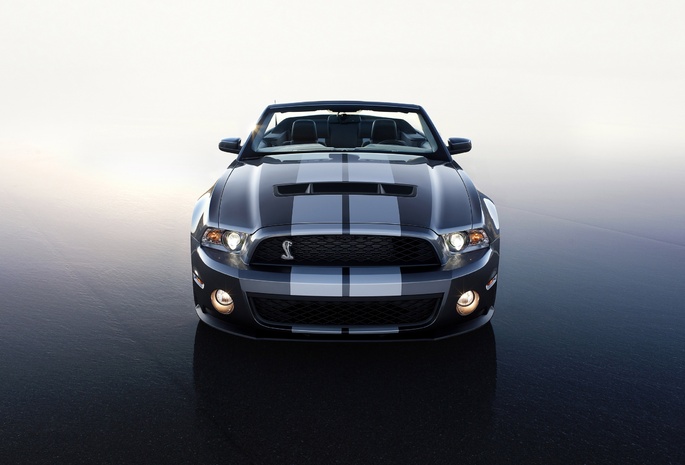 shelby, gt 500, Ford, 2010