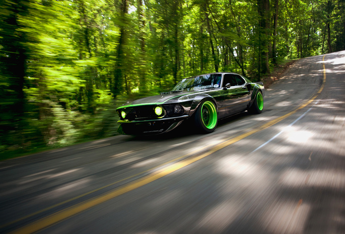 mustang, Ford, rtr-x, дорога, природа