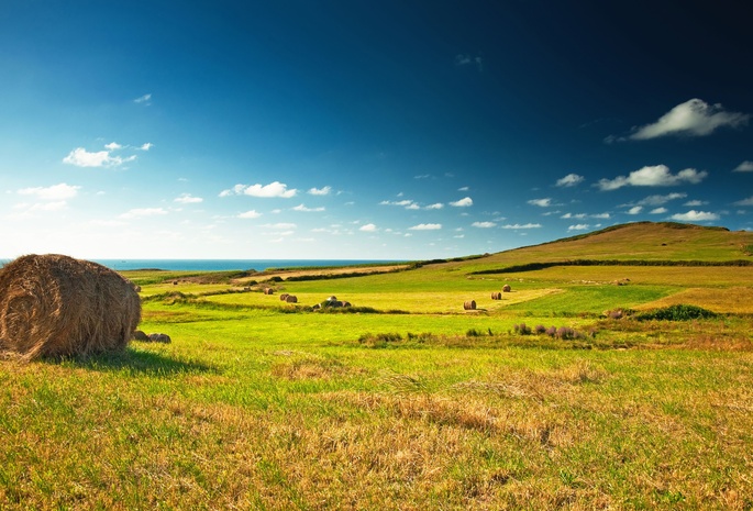 landscape, great view, зелёное, village, Green, meadow, сено, field, поле, стог