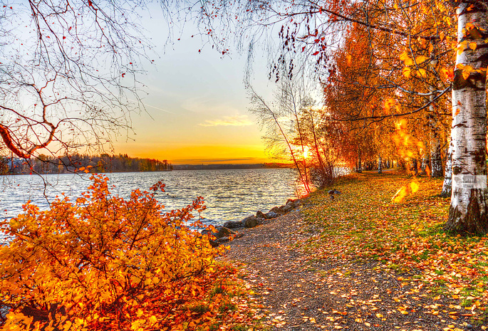 листья, пейзаж, осень, деревья, закат, озеро, Природа