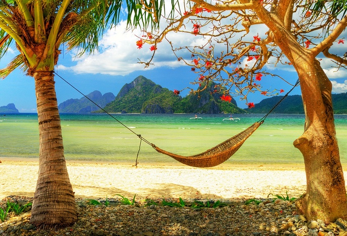 Caribbean, Paradise, Sunshine, Sea, Beach, Hammock, Palms, Relax