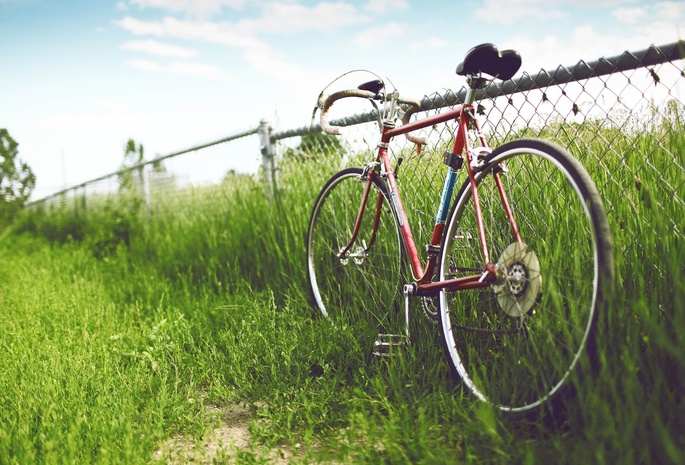 ограждение, Велосипед, забор, трава