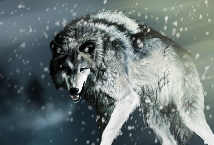 снег, рендеринг, Волк