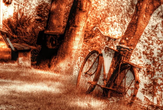 фон, Велосипед, дерево, текстура, скамья