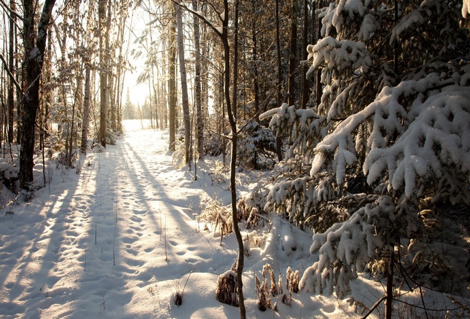 winter, висконсин, филлипс, northern woods, wisconsin, phillips, United states