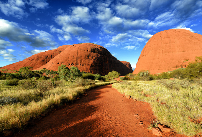 растительность, walpa gorge, Australia, австралия, ущелье валпа