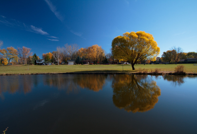 дерево, Осень, небо, отражение, река