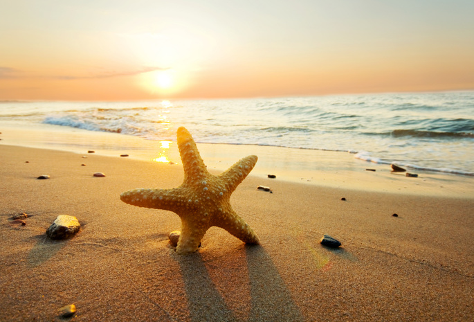 sand, starfish, beach, небо, Sea, облака, природа, ocean, sun, sunset, закат