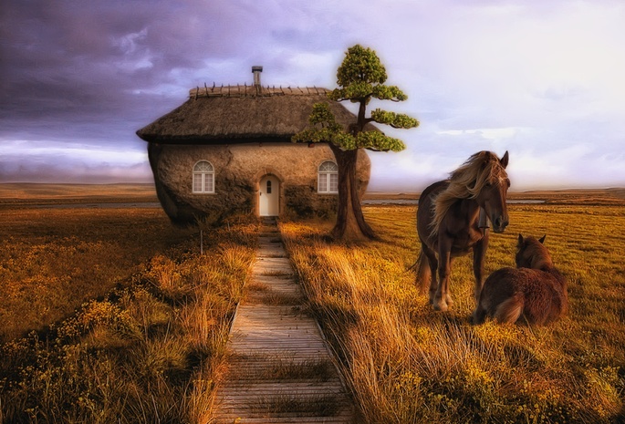 лошадь, , конь, дерево, тропа, Дом, поле