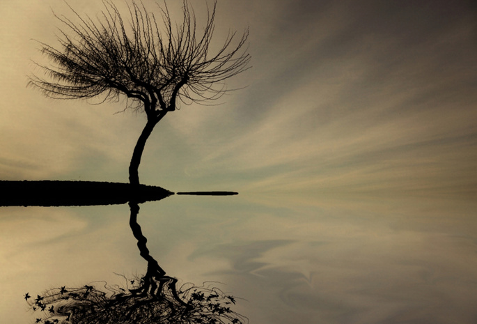 минимализм, природа, дерево, листья, серый фон, отдых, берег, настроение, отражение, обои, фон, экология, креатив