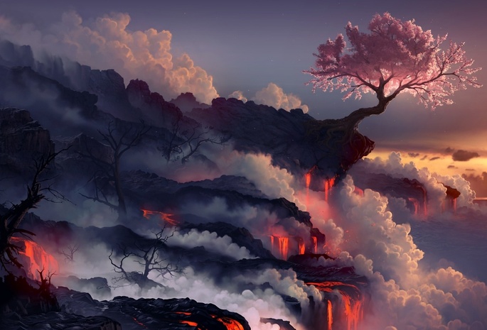 скалы, дерево, туман, утро, рассвет, отблески, высота