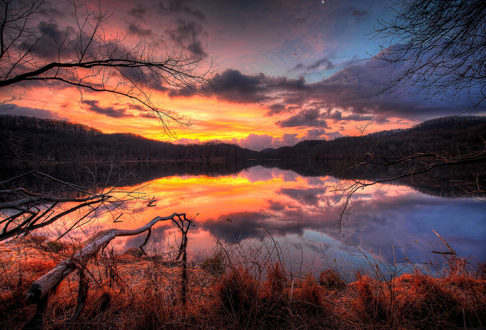 Закат, вода, небо, ветки, деревья, лес, вечер, озеро