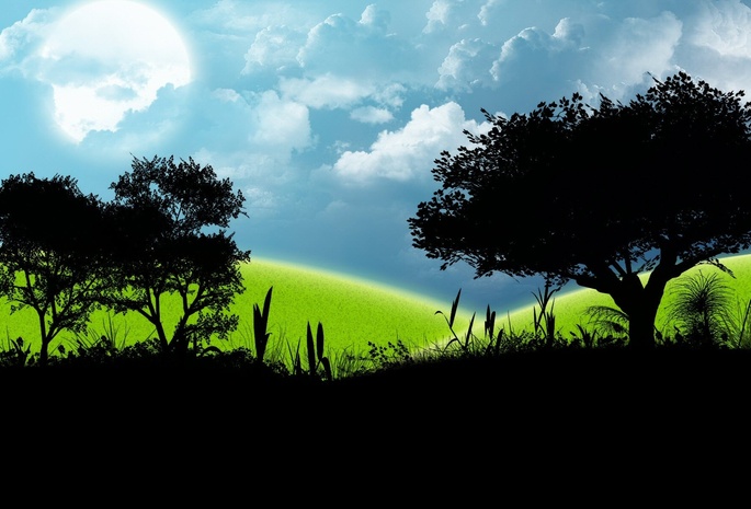 природа, деревья, дерево, лес, зелень, пейзаж, обои, лес, фон, экология, отдых, свежесть, прохлада, настроение, трава, небо, облака. солнце, путешествие