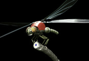 робот, стрекоза, Dragonfly