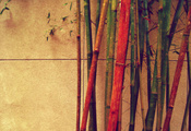 Бамбук, разный, цветной, стена