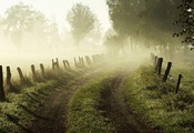 трава, туман, Утро, ограда, забор, рассвет, дорога