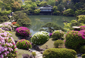 Цветы, домик, японский сад