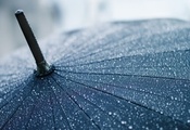 капли, зонтик, зонт, дождь, Макро