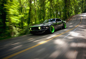mustang, Ford, rtr-x, дорога, природа