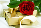 капли, красная, роза, подарок, воды, Коробка