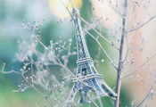 ветки, эйфелева башня, Paris