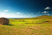 landscape, great view, зелёное, village, Green, meadow, сено, field, поле,  ...