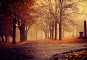 дорожки, листья, парк, пасмурно, деревья, Осень, туман