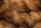 Текстура, фон на рабочий, мех, animal texture