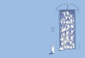 кролики, зайцы, удивление, Рисунок, много, лифт