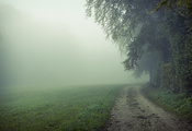 Природа, поле, туман, утро, дорога