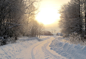 пейзажи, дороги, фото, домики, снег, дома, дерево, леса, деревья, Природа, зима, дорога, зимние обои