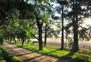 природы, Afternoon beauty, , дорога, тёплый, пустая, красота, свет, солнечный