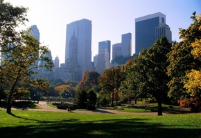 city, usa, парк, тропинка, нью йорк, park, тропинки, город, деревья, New york
