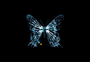 За гранью, бабочка, грань, кости, рентген, fringe, fox