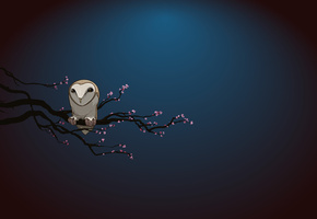 ветка, ночь, Сова