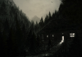 Лес, дом, черный, свет, дождь