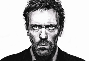 актер, Hugh laurie, портрет