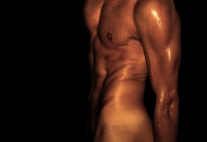 мышцы, пресс, Мужчина