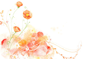 Белый, фон, цветы, рисунок