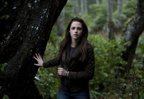 актриса, Kristen stewart, сумерки, кино, лес