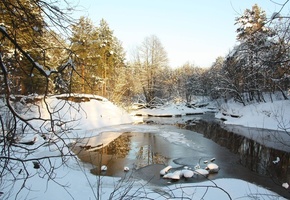 снег, весна, Природа, дова, деревья