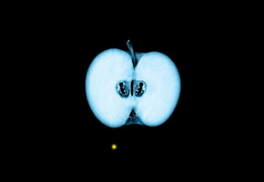 грань, fringe, fox, яблоко, зародыш, За гранью, рентген