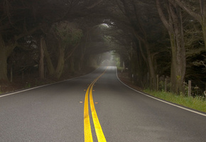 деревья, дымка, природа, туман, Дорога