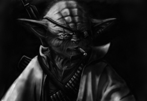 автомат, калашникова, плащ, йода, пират, Star wars, сигарета, патроны