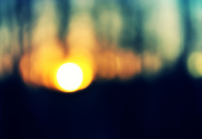 деревья, закат, Солнце, лес